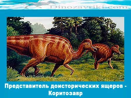 Открытки
